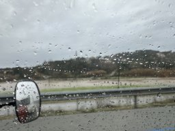 273-20-01-2026 IMG_3495